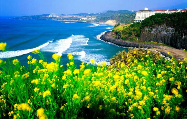 TOUR HÀN QUỐC: SEOUL – JEJU – BUSAN