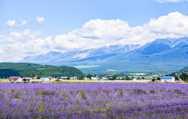 TOUR NHẬT BẢN CUNG ĐƯỜNG KIM CƯƠNG: HOKKAIDO